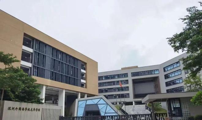 准现楼-深圳外国语龙华校区-北站双央企AG真人app保利招商龙誉-北站核心(图7)