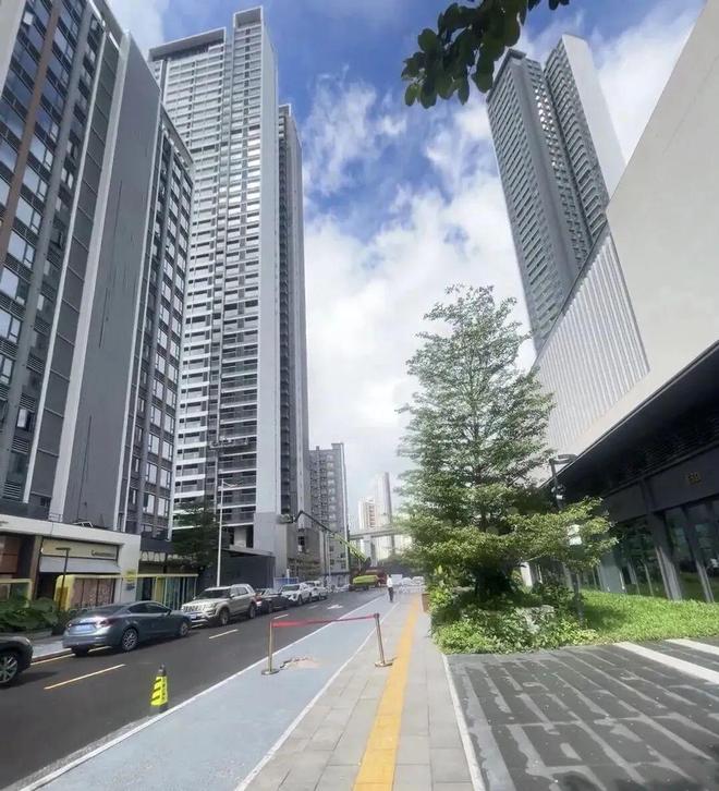 准现楼-深圳外国语龙华校区-北站双央企AG真人app保利招商龙誉-北站核心(图12)