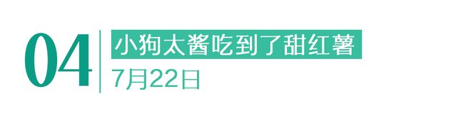 停在原地｜GoodnewsAG真人直营7月我们都没有