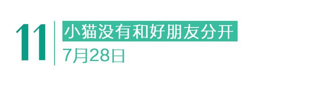 停在原地|GoodnewsAG真人直营7月我们都没有(图16) 停在原地|GoodnewsAG真人直营7月我们都没有(图16)