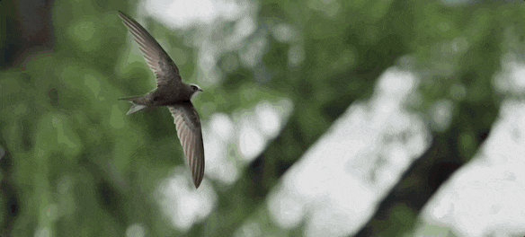 停在原地|GoodnewsAG真人直营7月我们都没有(图17) 停在原地|GoodnewsAG真人直营7月我们都没有(图17)