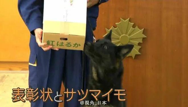 停在原地|GoodnewsAG真人直营7月我们都没有(图21) 停在原地|GoodnewsAG真人直营7月我们都没有(图21)