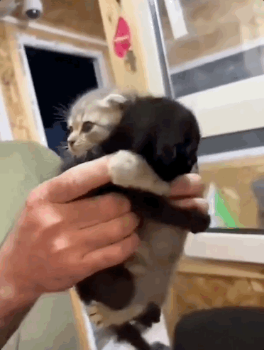 停在原地|GoodnewsAG真人直营7月我们都没有(图22) 停在原地|GoodnewsAG真人直营7月我们都没有(图22)