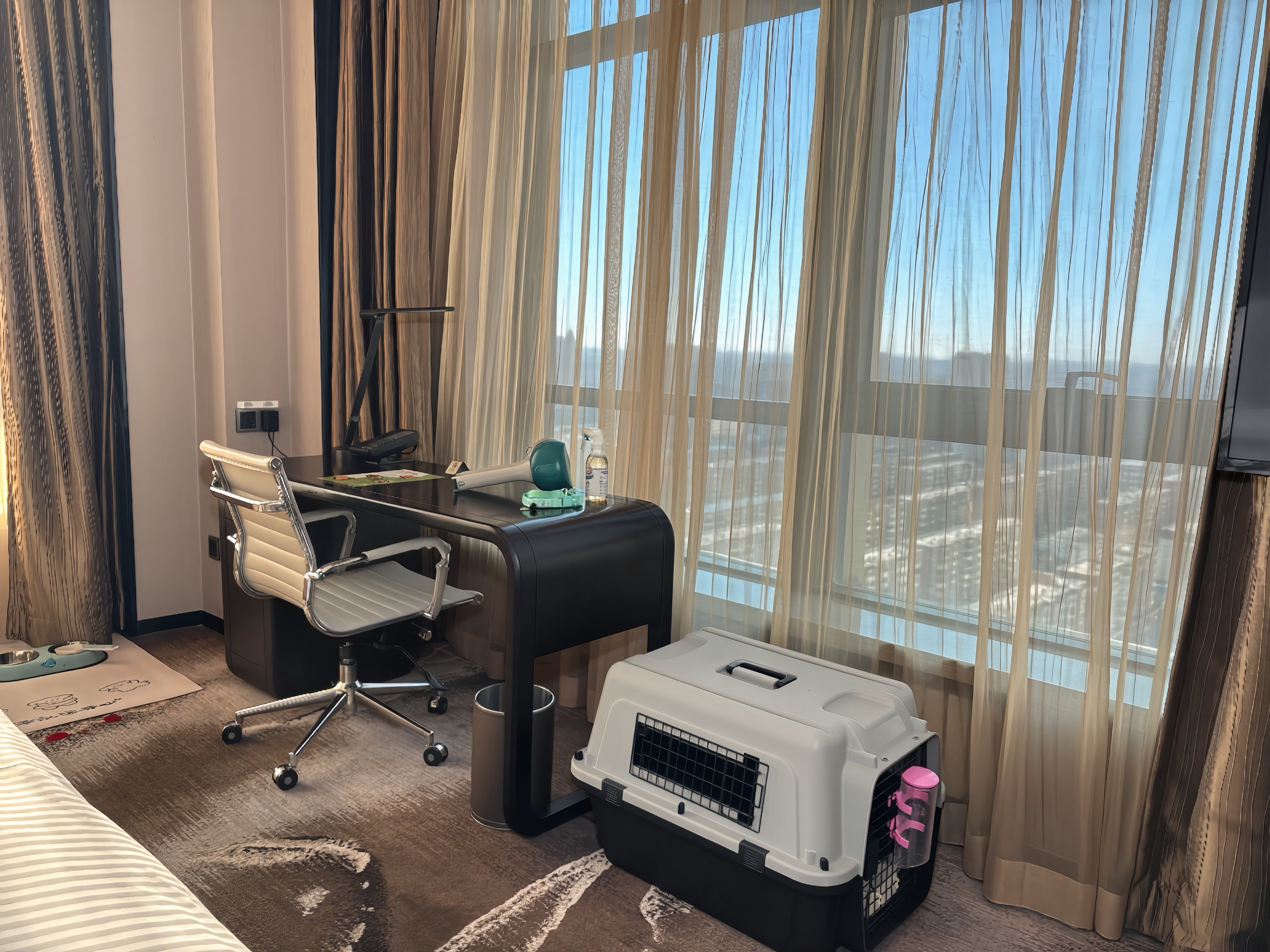 尔富力万达嘉华酒店重磅推出专属宠物房AG真人国际携手爱宠乐享旅途:齐齐哈(图1) 尔富力万达嘉华酒店重磅推出专属宠物房AG真人国际携手爱宠乐享旅途:齐齐哈(图1)